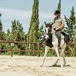 Panieracci