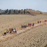 Panieracci * Villamagna (Pisa)