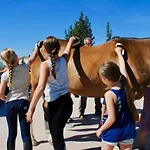 Farm stay Panieracci *